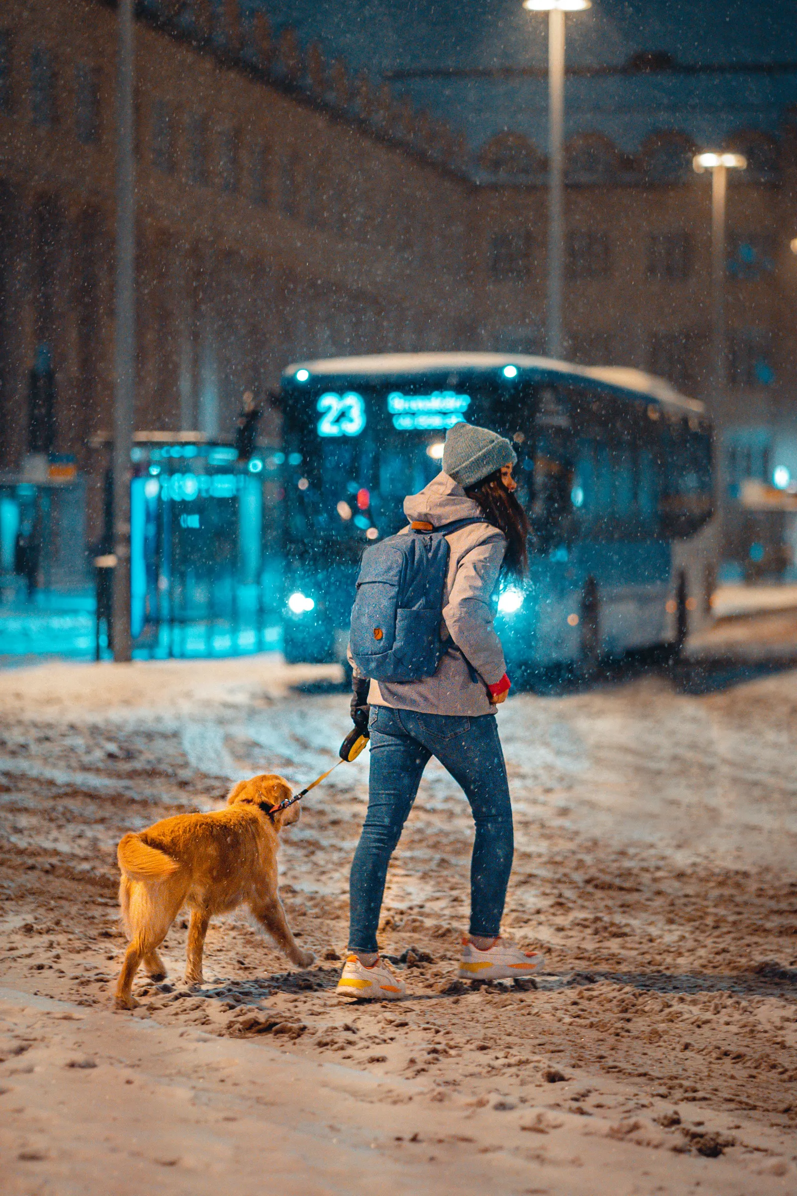 person walking dog with a muzzle||