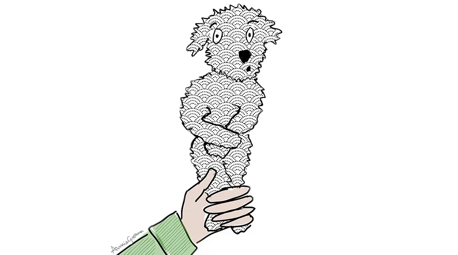 annie grossman dog training||||||dog house training drawing by annie grossman