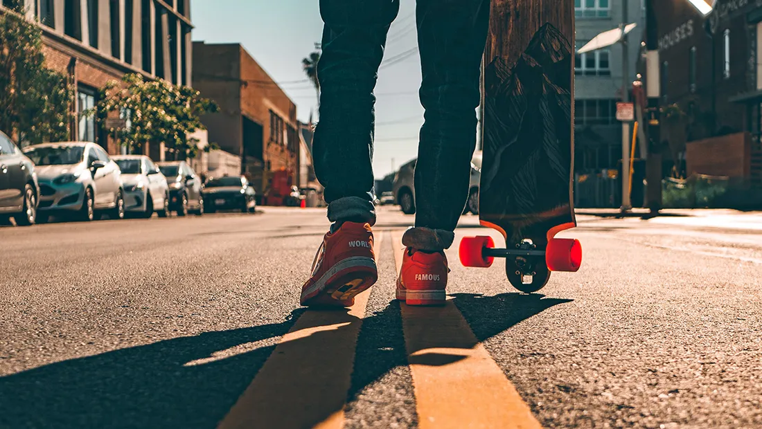 dogs and skateboards