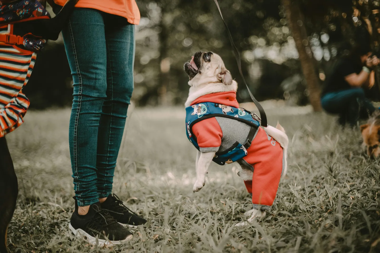||||||treat pouch||dog treat pouch||||||