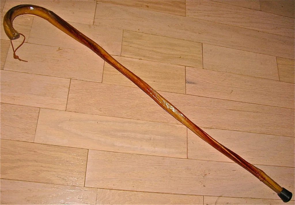 bull-penis-cane
