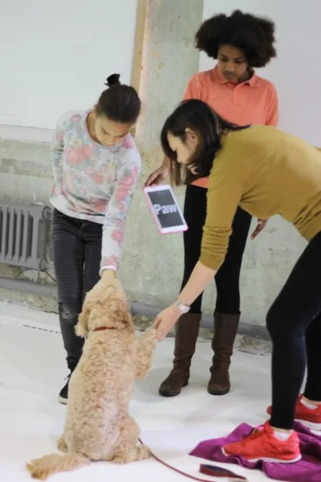 ipad class for dogs