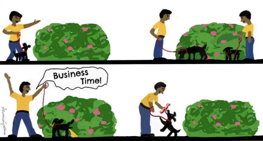 dog training peeing on cue by annie grossman