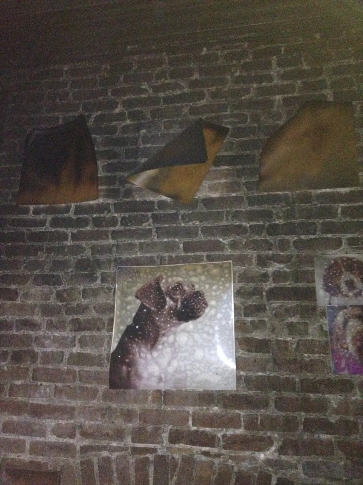 A smoke-damaged dog portrait hanging on the brick wall