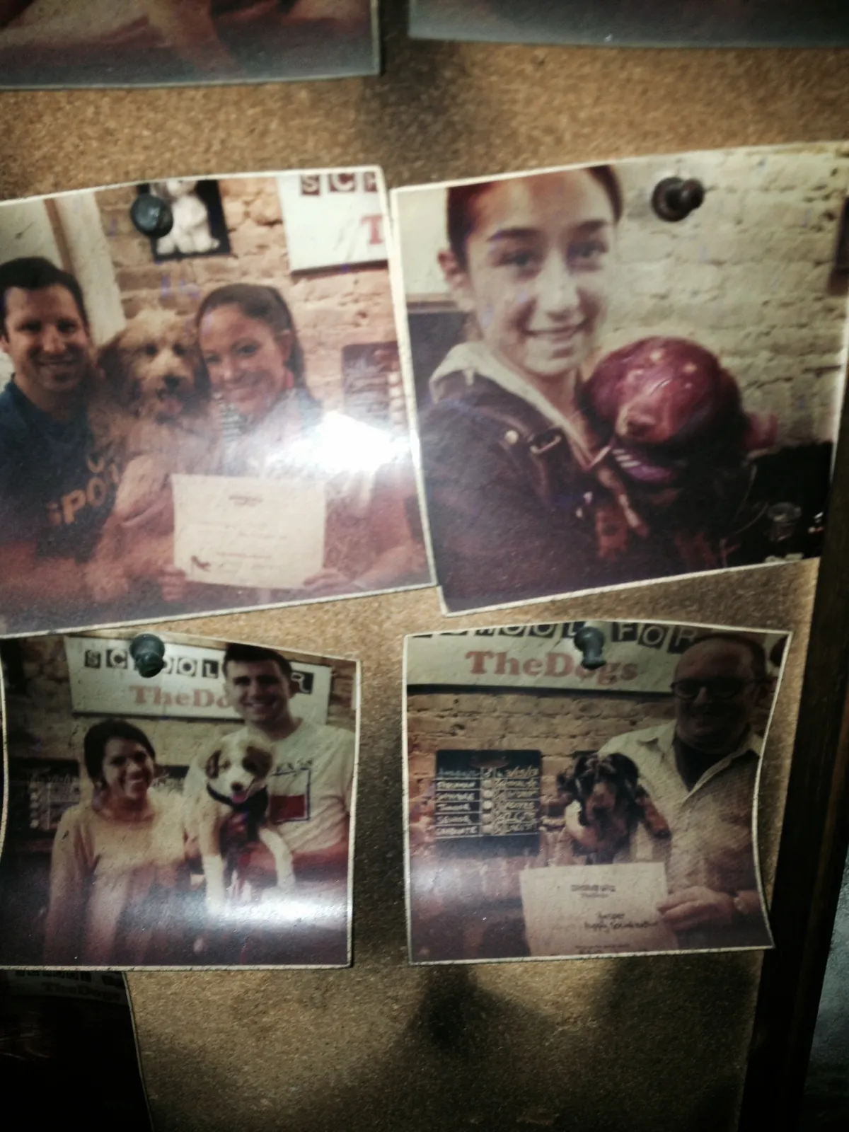 Burned photos of students and their dogs pinned to a board