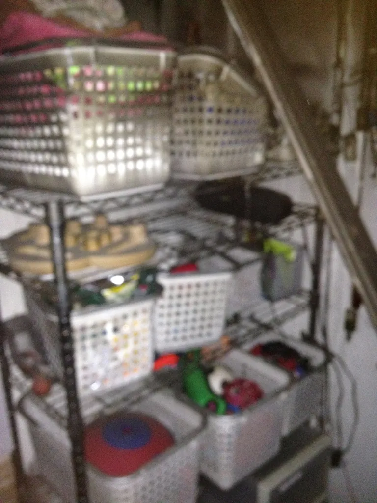Smoke-blackened wire shelves of dog training supplies