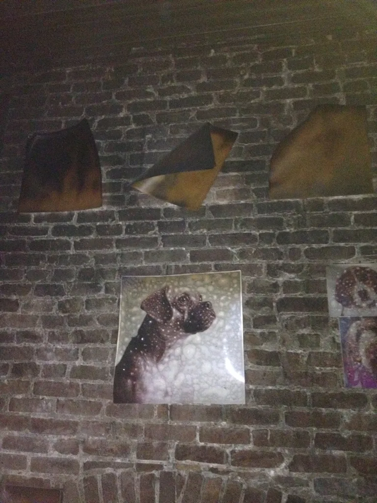 Annie's sister's pet portraits, burned, on the studio's brick wall