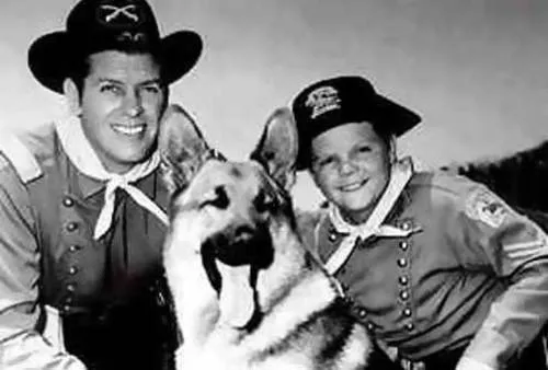 Rin Tin Tin||