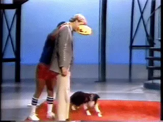 A dog performing a Stupid Pet Trick on The Late Show with David Letterman