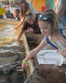 Feeding the stingrays!