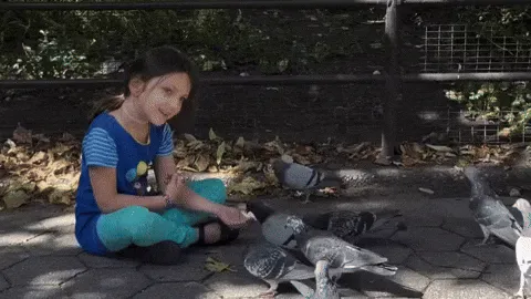 Feeding the pigeons! A cheaper activity than feeding stingrays!