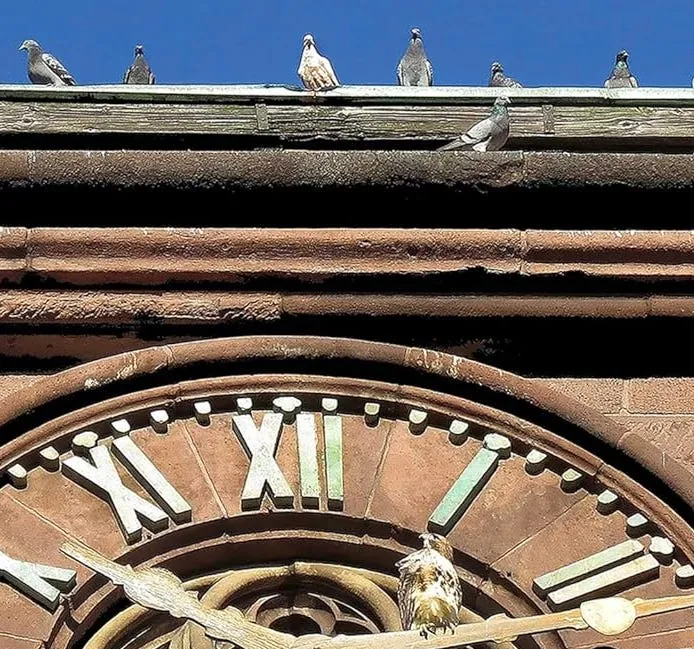The flock at St. George’s Episcopal Church in Manhattan, on the west side of Stuyvesant Park.