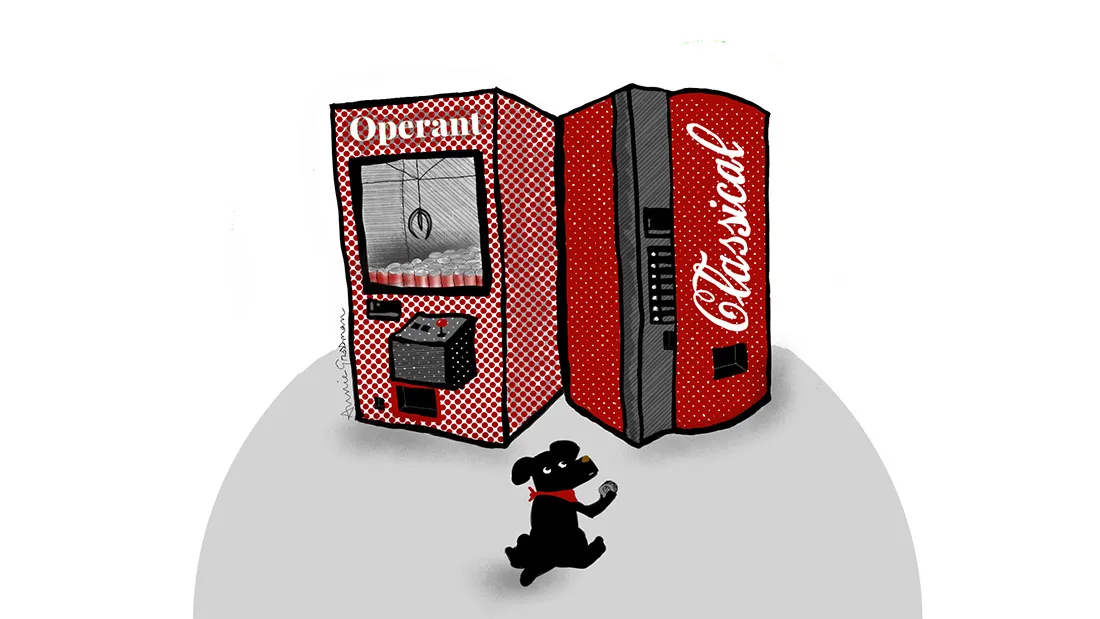 operant and classical conditioning by annie grossman