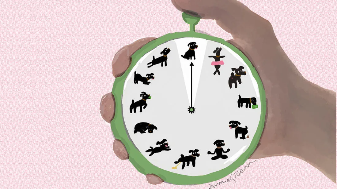 dog training timing drawing annie grossman