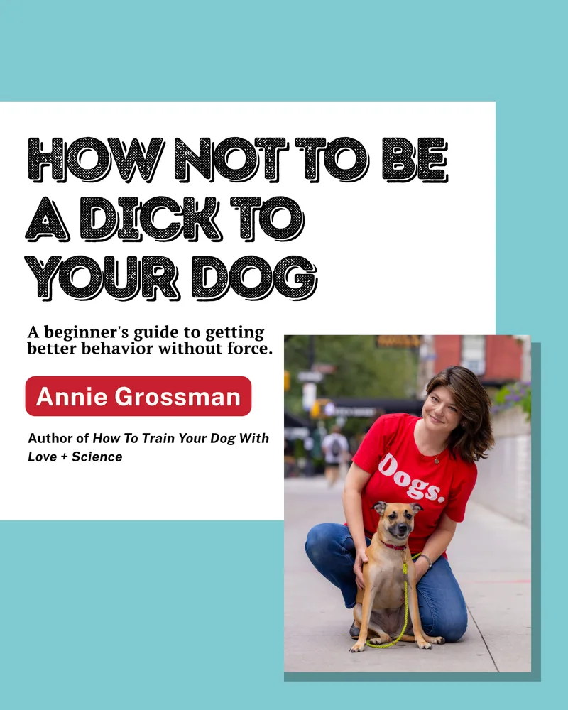 Cover of the free guide How Not To Be A Dick To Your Dog