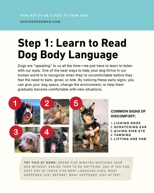 Guide page: Step 1, Learn to Read Dog Body Language