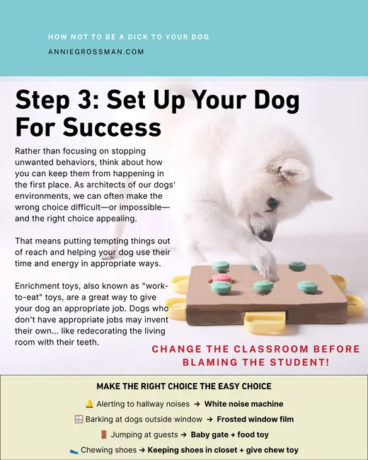 Guide page: Step 3, Set Up Your Dog For Success
